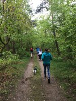 Course et renforcement musculaire, Schweighouse-sur-Moder