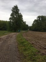 Course et renforcement musculaire, Schweighouse-sur-Moder