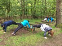 Course et renforcement musculaire, Schweighouse-sur-Moder